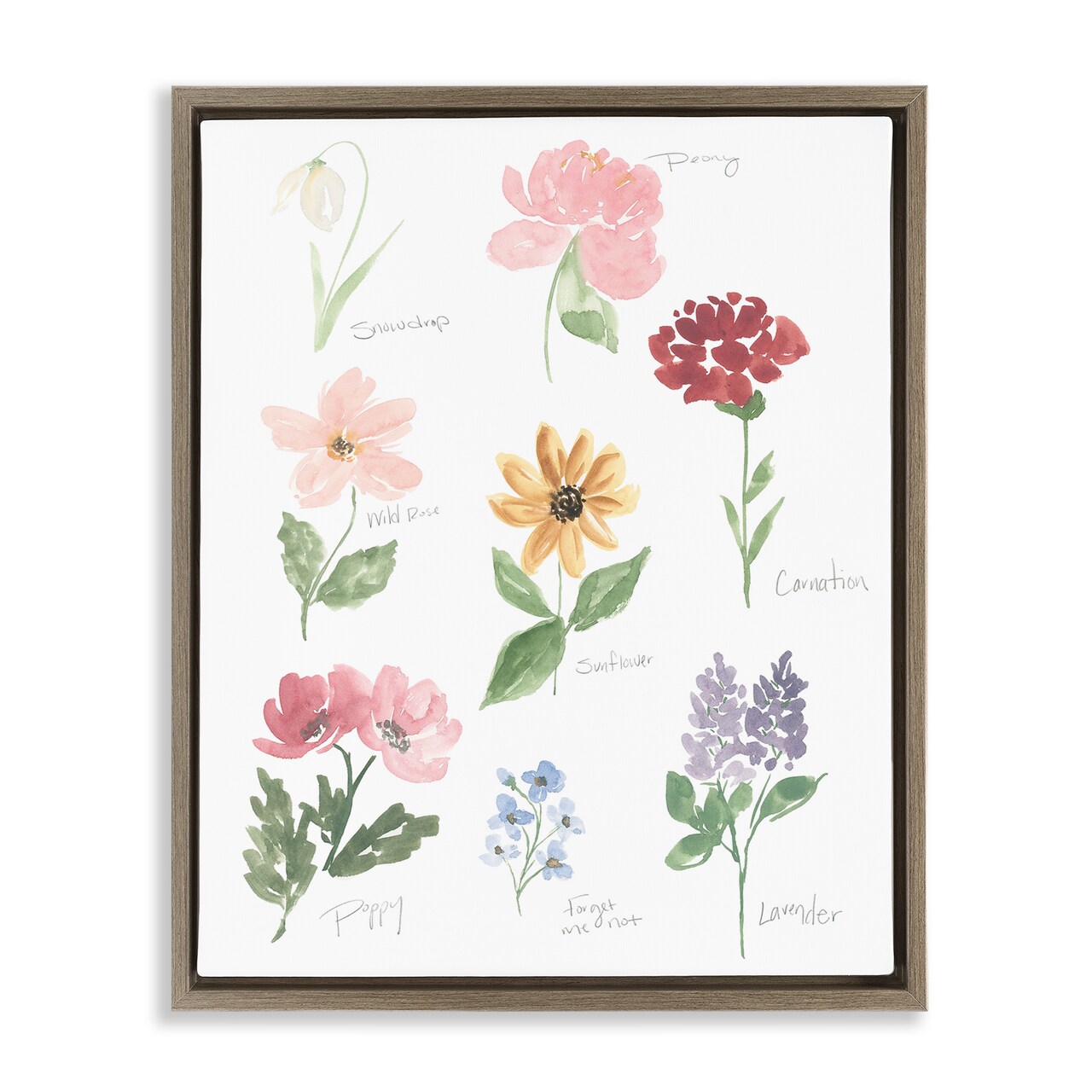 Stupell Industries Labeled Flower Varieties Floating Frame, design by Lucille Price